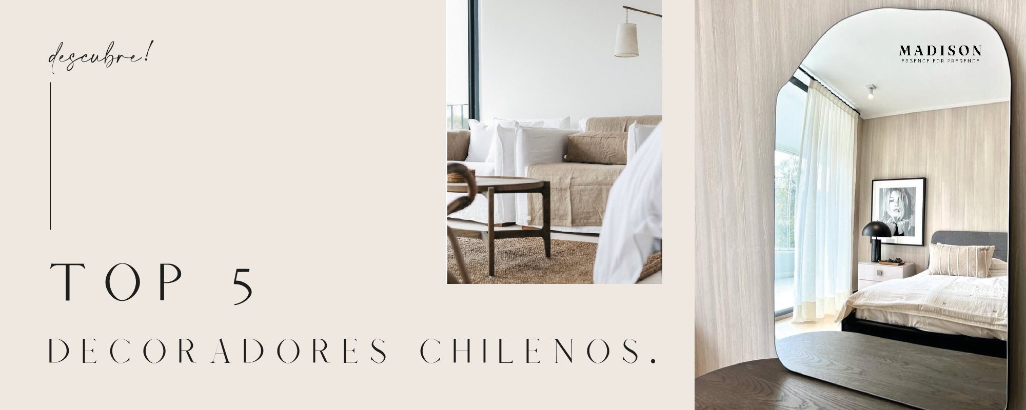 Top cinco Decoradores en Chile