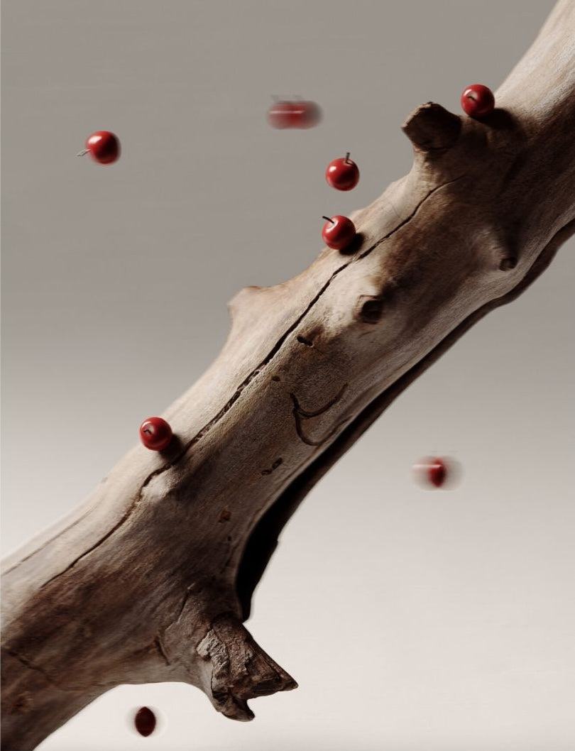 Aromas Terra