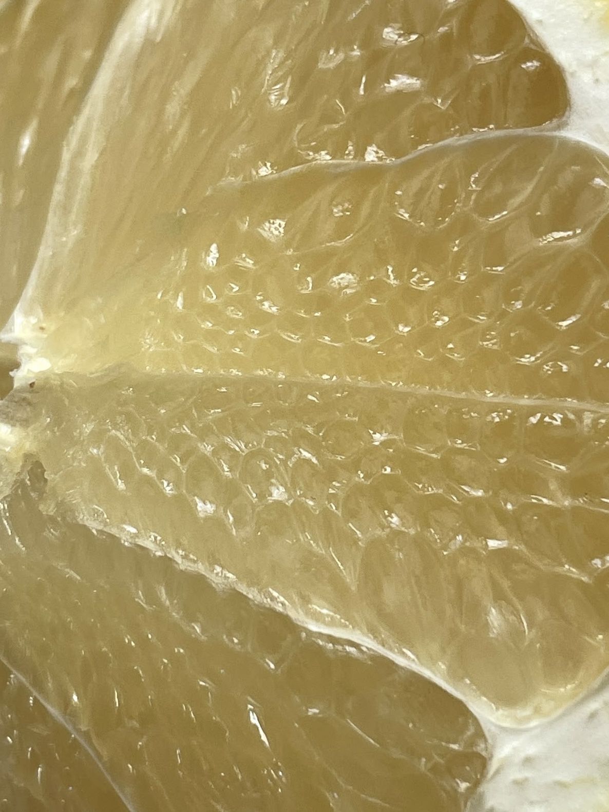 Aromas Cítricos