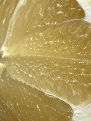 Aromas Cítricos