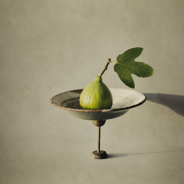 Fig Bliss