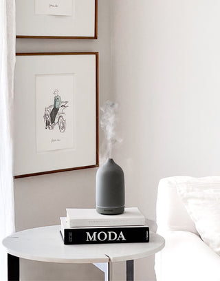 Home Diffuser Gris