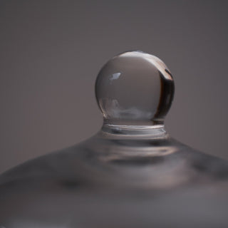 Fanal de Vidrio Transparente