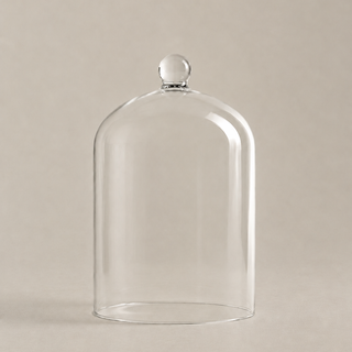 Fanal de Vidrio Transparente