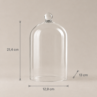 Fanal de Vidrio Transparente