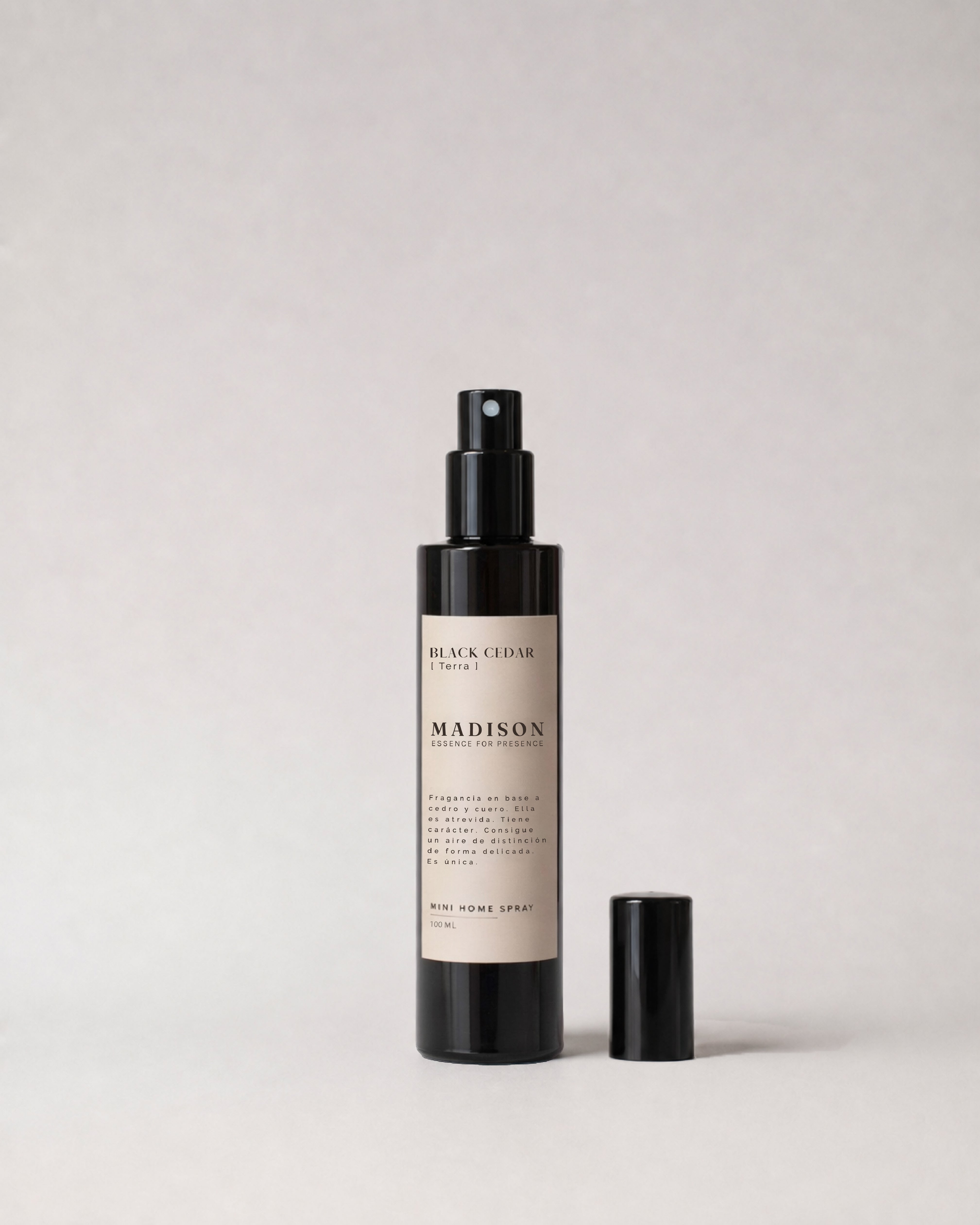 Mini Home Spray 100 ml Black Cedar