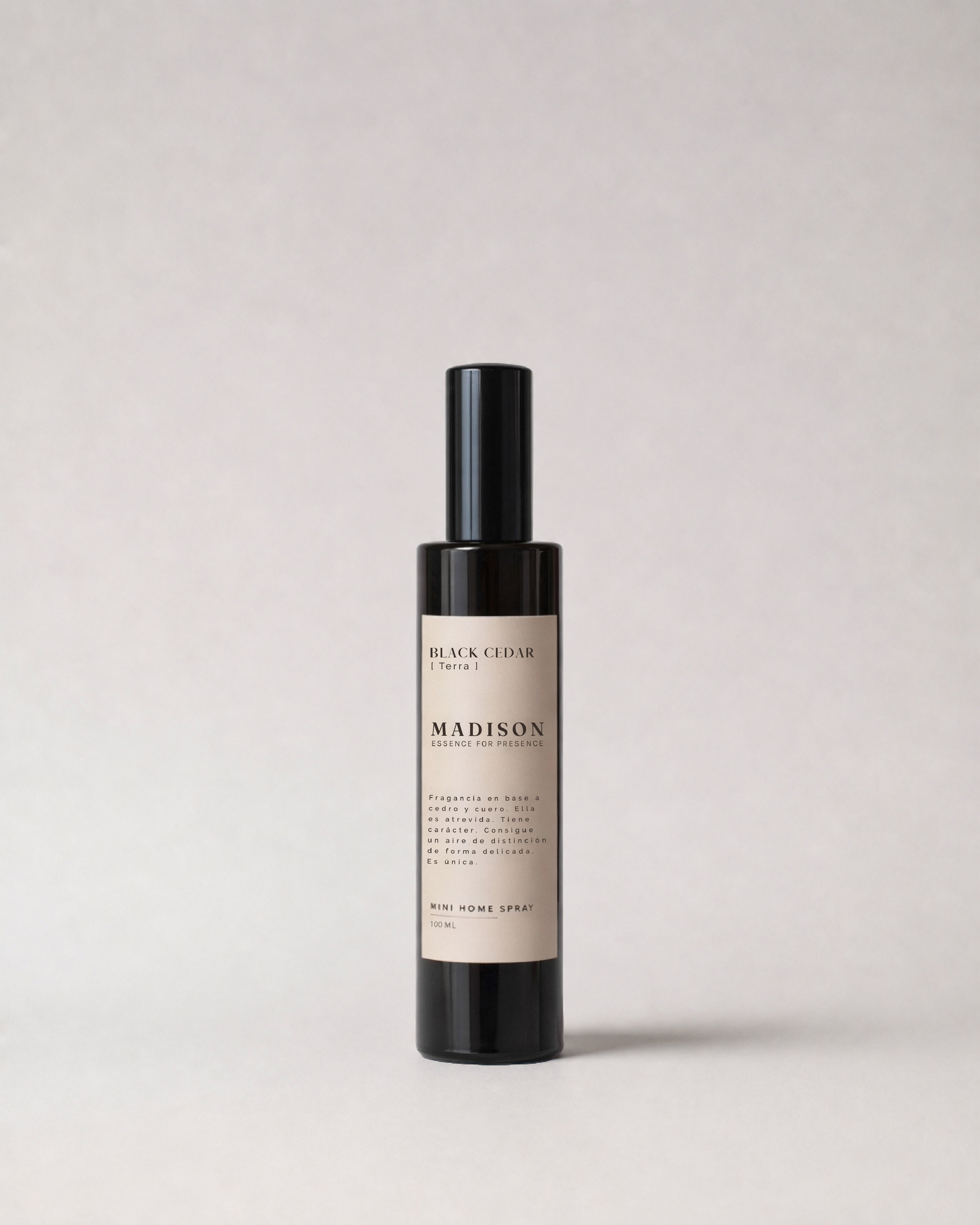Mini Home Spray 100 ml Black Cedar